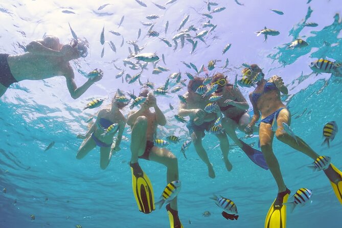 Sailing Catamaran Excursion - Starting Near Sosua and Playa Dorada