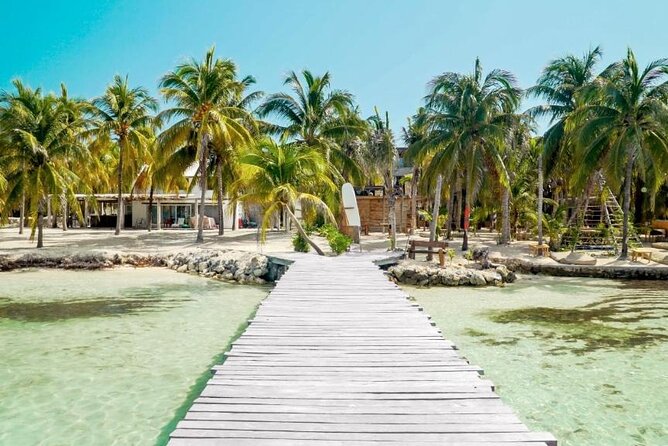 Sailing Catamaran Party to Isla Mujeres from Cancun - Punta Sam Reef and the 35-minute snorkel