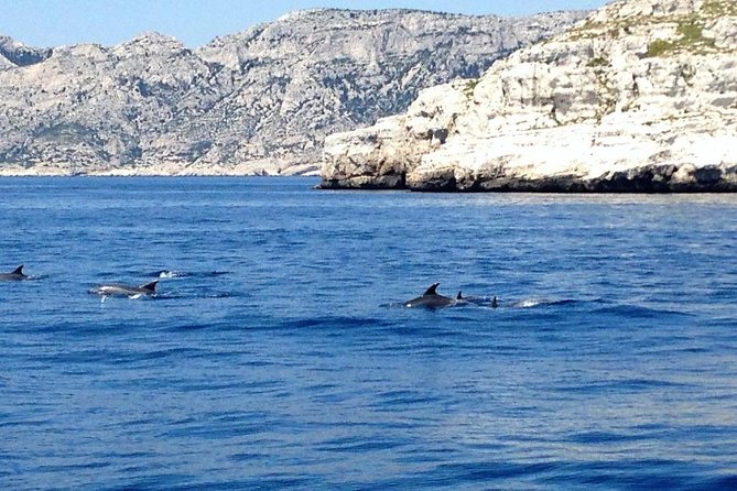 Sailing day in the heart of the Calanques - Ile de Frioul and the return toward Marseille