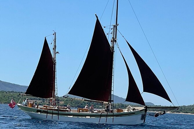 Sailing day trip on Tall Ship Andrea Jensen with Lunch and Wine - Cruising along the Coral Riviera