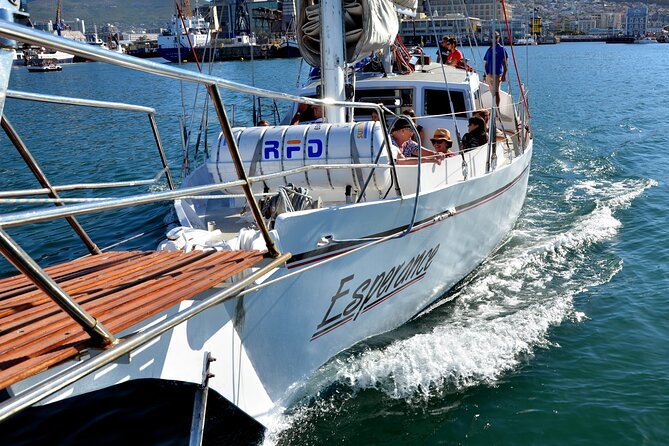 Sailing in Table Bay Cape Town aboard a Classic Schooner - Seals, dolphins, and possible whale sightings
