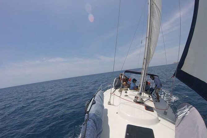 Sailing Snorkel Adventure - Key points to know before booking