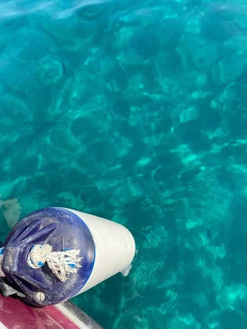 Sailing the Cilento coast: adventure, and serenity - Trentova Rock and Scoglio del Sale