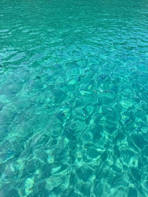 Sailing the Cilento coast: adventure, and serenity - Should you book this Cilento Coast boat tour?