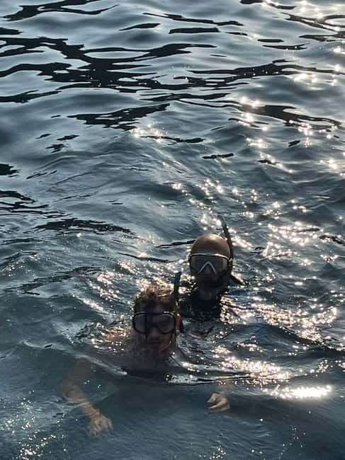 Sailing tour and guided snorkeling a Siracusa - Who should book this sailing tour?