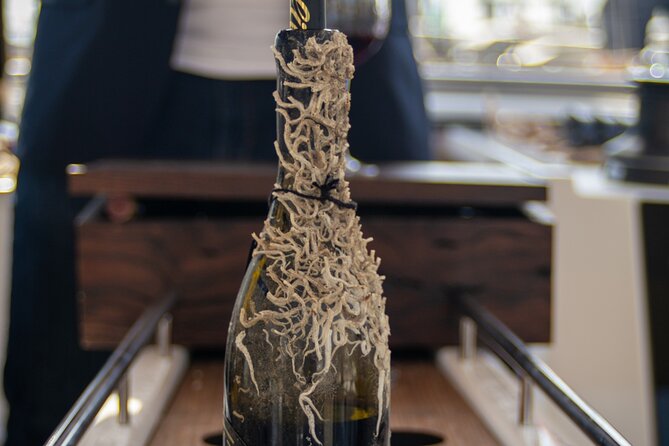 Sailing Tour and Tasting of Submarine wines on board - Meeting at Marina Vela in Barcelona