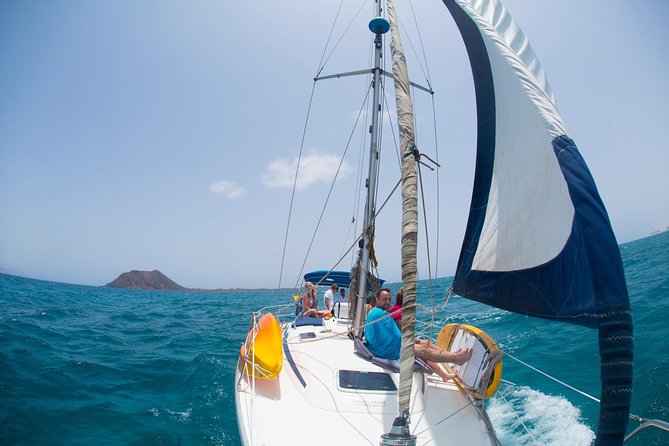 Sailing tour around the Lobos Island Natural Park / 4h - Is $90.51 good value for four hours?