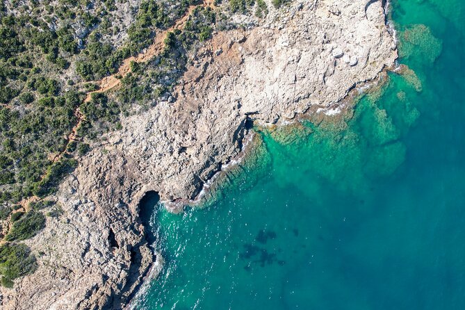 Sailing trip and swim in the bay of Dénia on a catamaran - Who should book this experience?
