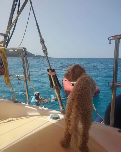 Saint-Florent: sailing excursions with Sailingmaures - Saleccia and Fiume Santu by boat