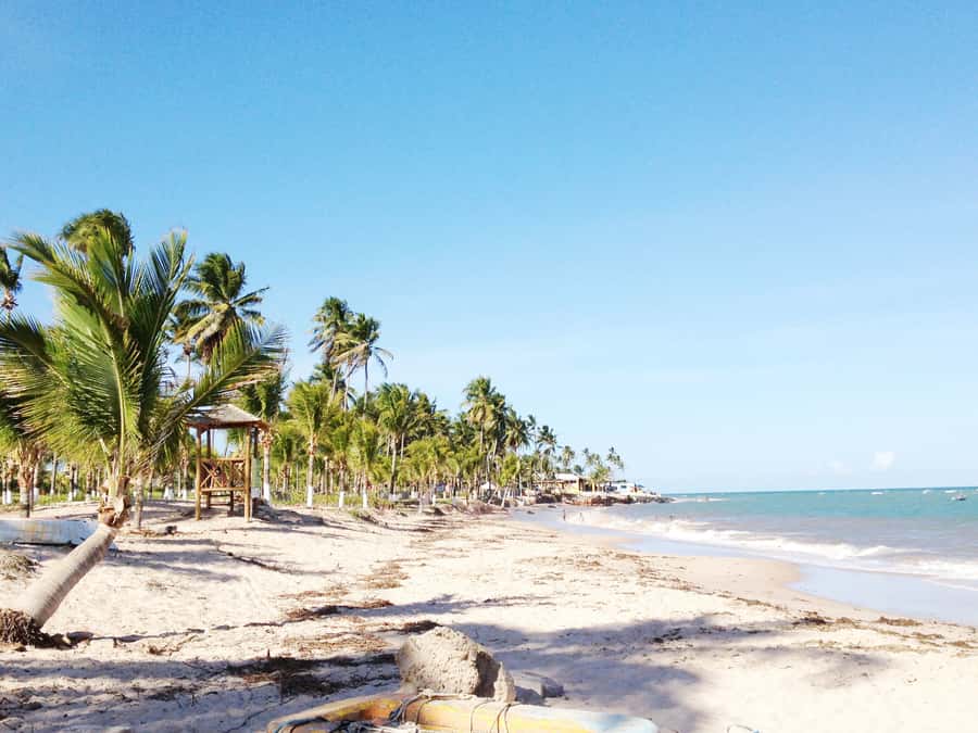 Salvador: Schooner Cruise with Pickup and Itaparica Stop - Why Baía de Todos os Santos makes this trip worthwhile