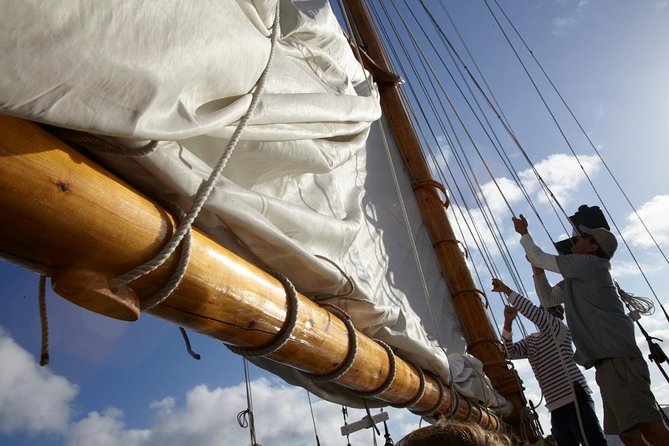 San Diego Bay Sail Aboard a Vintage Yacht Beer and Wine Included - The Rady Shell and evening entertainment