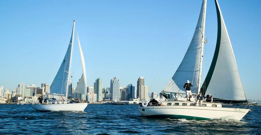 San Diego Bay: Signature 2-Hour Sailing Tour - What the wildlife watching is really like