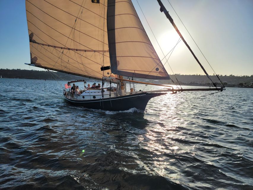 San Diego: Classic Yacht Sailing Experience - Wildlife sightings are a bonus, not a promise