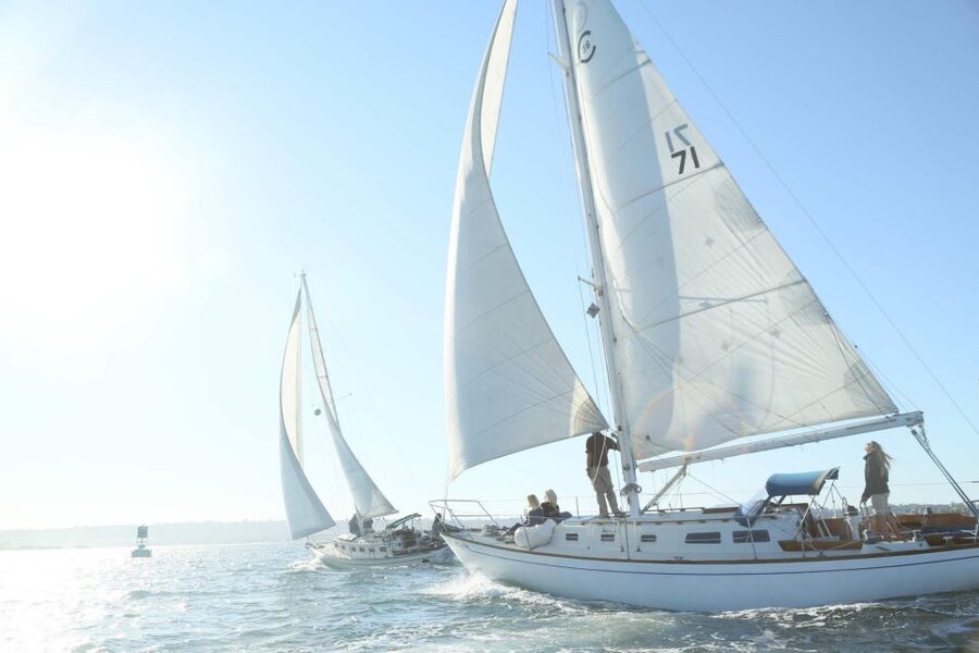 San Diego: Private 2-Hour Sailing Tour for 3-6 People - Sea birds, sea lions, and possible dolphins