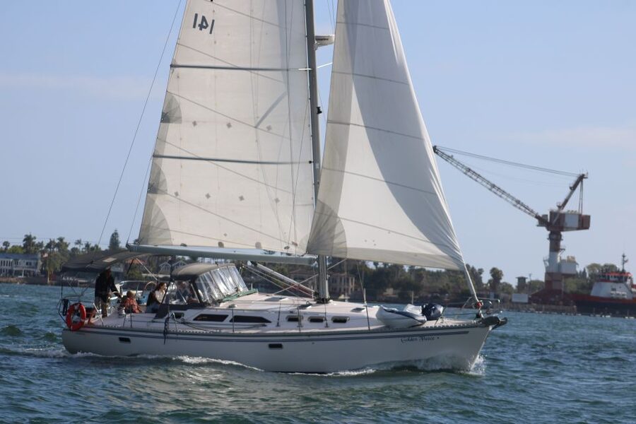 San Diego: San Diego Bay Sunset & Daytime Sailing Experience - Sea Lions, Dolphins, and the Wild Card of Wildlife