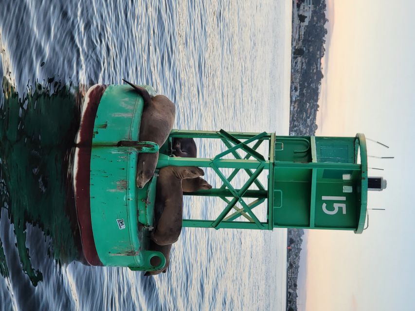San Diego: San Diego Bay Sunset & Daytime Sailing Experience - The Captain Makes the Difference