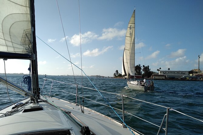 San Juan Historical Bay Daytime Sailing Tour - Drinks, conversation, and the social side