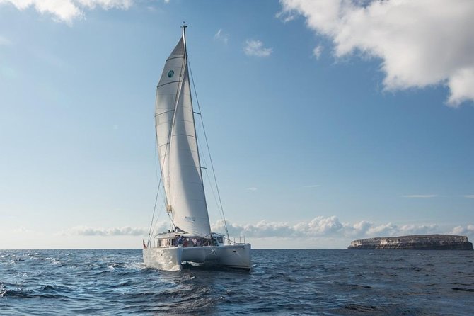 Santorini Caldera Sailing Tour with BBQ Lunch and Drinks - What the crew adds to the day