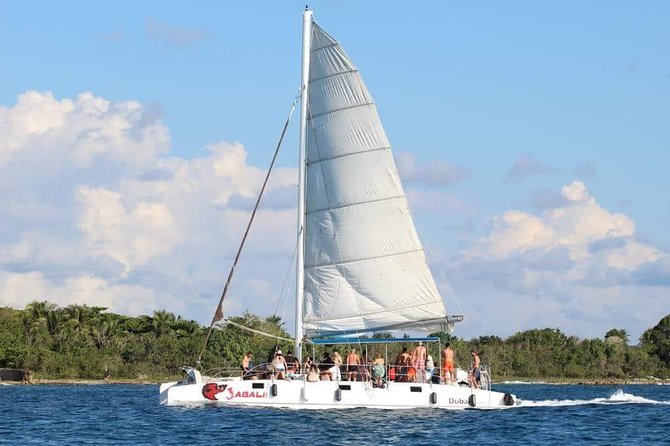 Saona Island Sailing Tour - All Inclusive - Why Saona Island is worth the effort