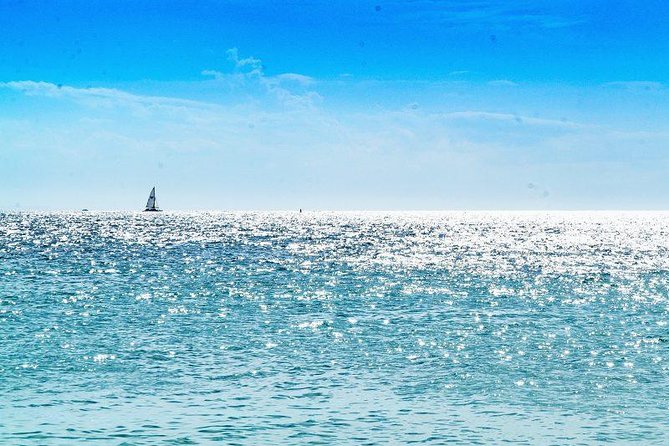 Saona Island Sailing Tour - All Inclusive - Lunch, drinks, and what the price really covers