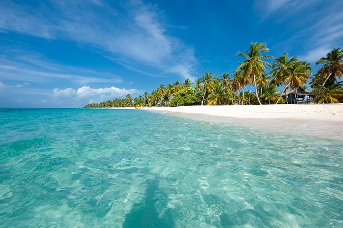 Saona Island Sailing Tour - All Inclusive - The organization problem you should take seriously