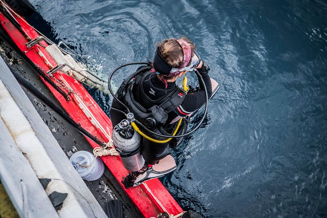 Scuba Diving at Sail Rock From Koh Phangan Certified Divers Only - Key points about the Sail Rock trip