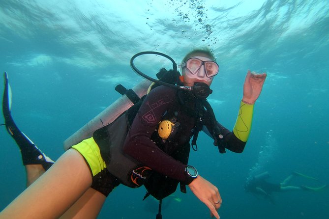 Scuba Diving at Sail Rock From Koh Phangan Certified Divers Only - Why Sail Rock is worth the boat trip