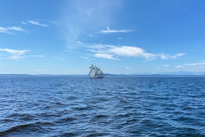 Seattle Sailing Harbor Tour - What the two-hour sailing feels like