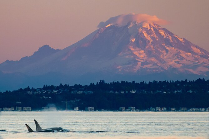 Seattle Sunset Sail BYOB - Olympic Mountains and Mount Rainier