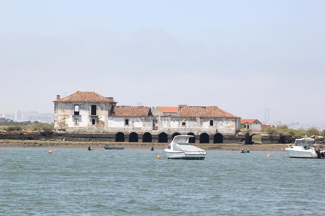 Seixal Sailing Cruise - Lunch in a typical restaurant - Two hours in Seixal