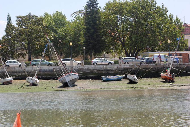 Seixal Sailing Cruise - Lunch in a typical restaurant - Music, food, and the feel onboard