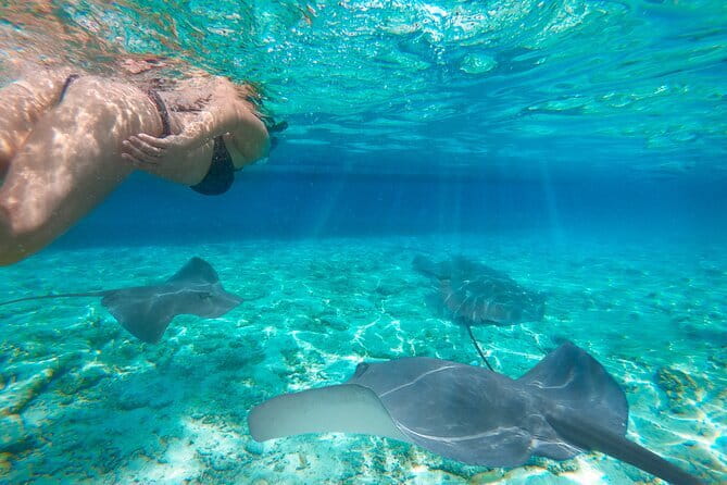 Shared Trip Sailing Komodo 3D2N - What the $800 price really gets you