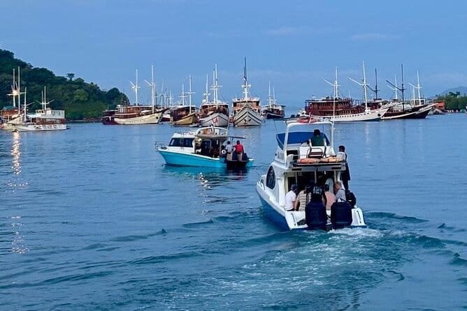Shared Trip Sailing Komodo 3D2N - Who should book this sailing trip?