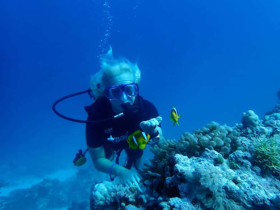 Sharm El Sheikh: Day sail to White island and Ras Mohamed - Two snorkeling stops, with help in the water