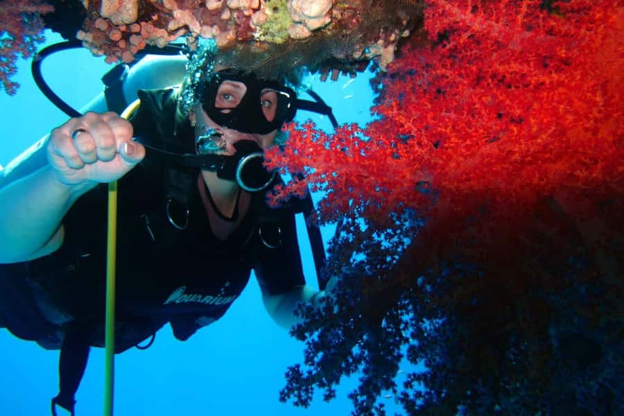 Sharm El Sheikh: Day sail to White island and Ras Mohamed - Who should book this experience?