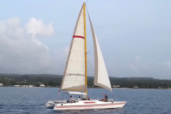 Shasa Catamaran Cruises Limited Numbers 3 Hour Sail and Snorkel - Coral reef fish and the shipwreck option