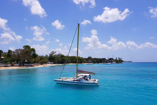 Shasa private catamran sailing cruise, Snorkel with turtles. - Key points to know before you book
