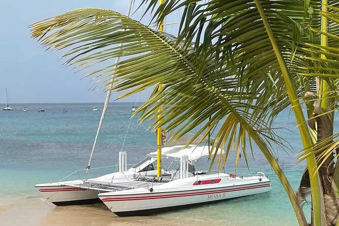 Shasa private catamran sailing cruise, Snorkel with turtles. - What the three-hour cruise does and does not include