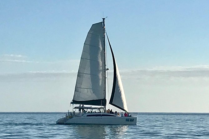 Sightseeing and Sunset Catamaran Sailing Excursion - What Sailing on Cool Beans Feels Like
