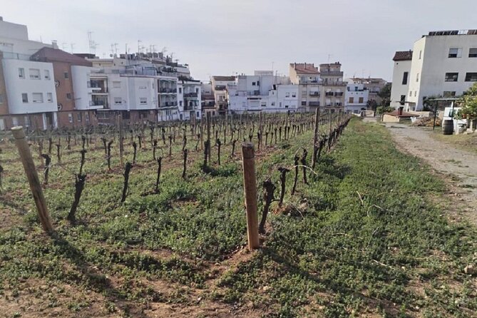 Sitges sailing, walking and winery tour - Two hours on the water around Sitges