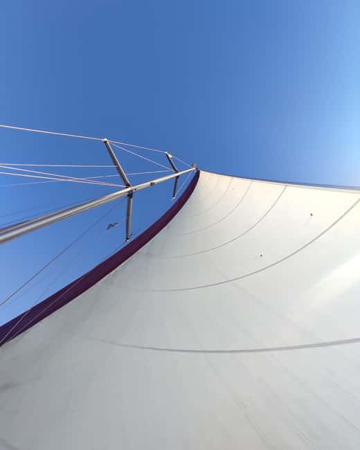 Skopelos: Full-Day Sailing Cruise to Alonissos & Marine Park - Key things to know before sailing