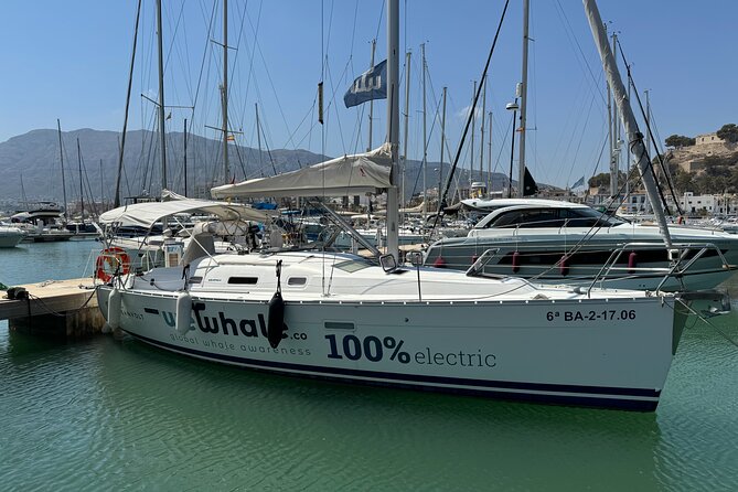 Small Group Dolphin Sunset Tour on Electric Sailing Boat Denia - Key points to know before you book