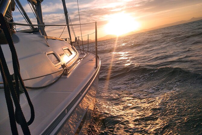 Small Group Dolphin Sunset Tour on Electric Sailing Boat Denia - Timing, comfort, and who will enjoy it most