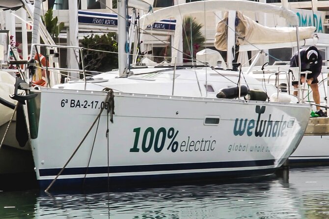 Small Group Dolphin Sunset Tour on Electric Sailing Boat Denia - Cabo de San Antonio and its protected marine life