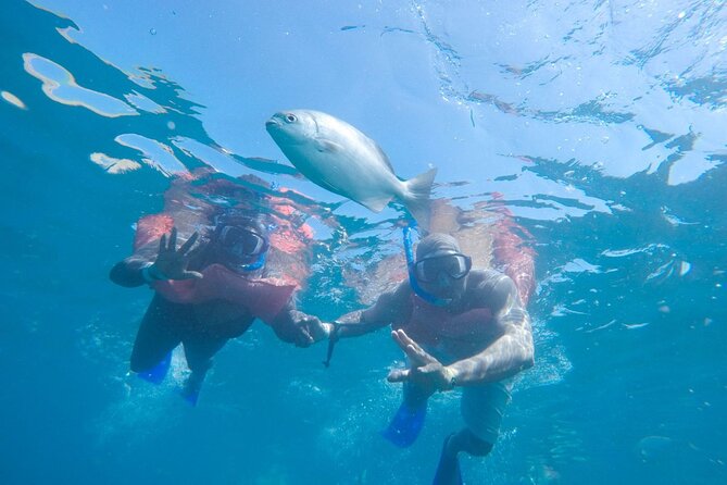 Snorkel in Luxury Sailing Boat + Food and Premium drink! - Crew service and the small-group feel