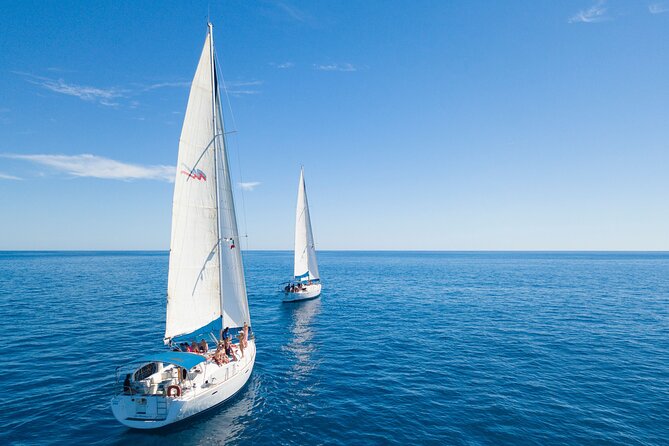 Snorkel in Luxury Sailing Boat + Food and Premium drink! - Is $200 a good value?