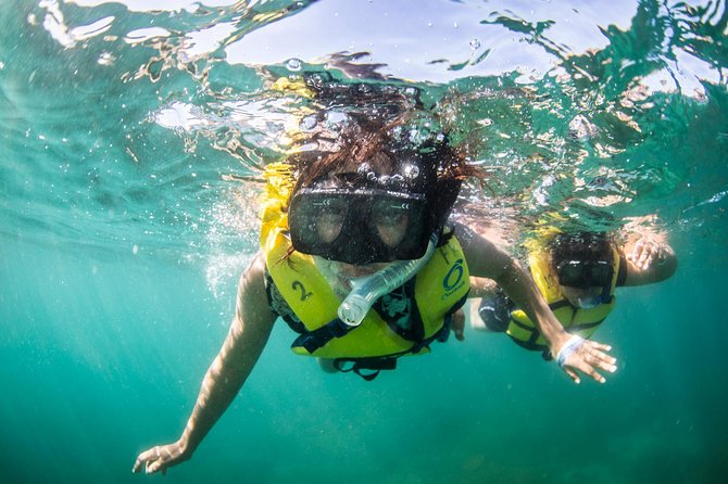 Snorkel, Lunch & Sail in Cabo San Lucas - Lunch: a proper taco buffet at sea