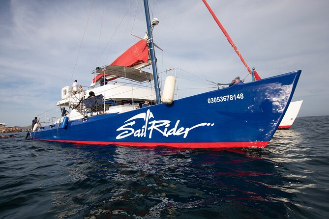 Snorkel, Lunch & Sail in Cabo San Lucas - Sailing past Land’s End and the Arch