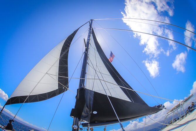 Snorkel Sail Adventure off Ka'anapali Beach, Maui - Lunch with chicken, rice, hummus, and cookies