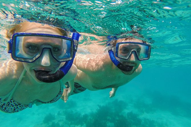 St. John PiZZA Pi Snorkel Sail with Beach Stop, Lunch & Open Bar - Westin - What you may see below the surface